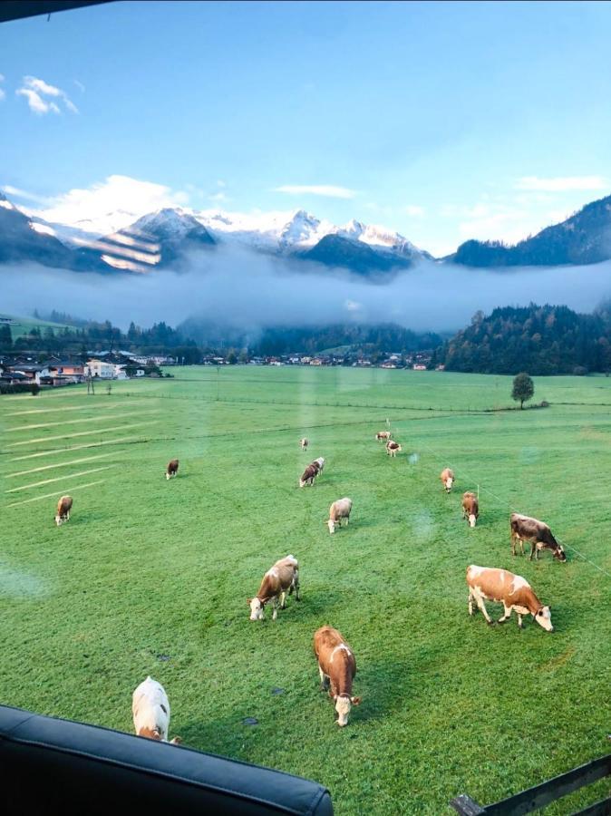 Appartement Weitblick *