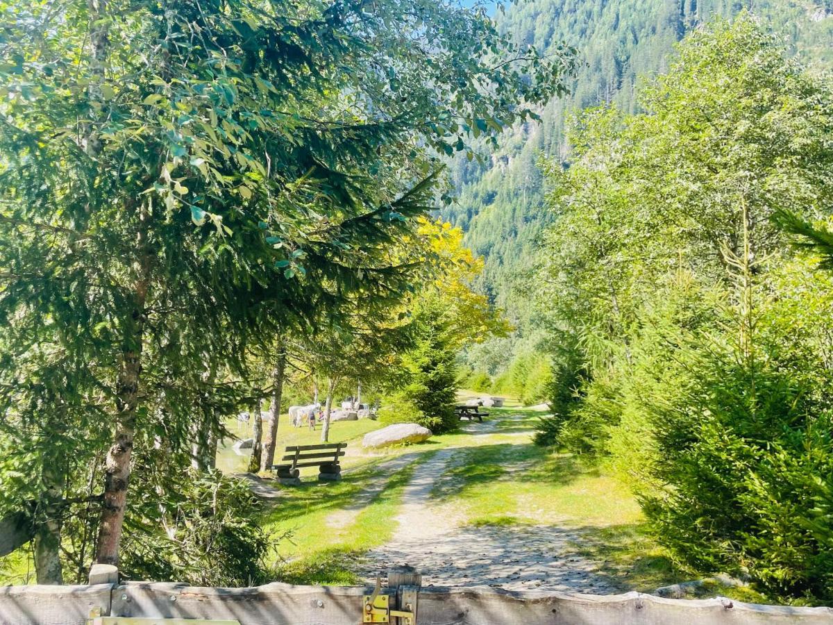 Weitblick * Wald im Pinzgau