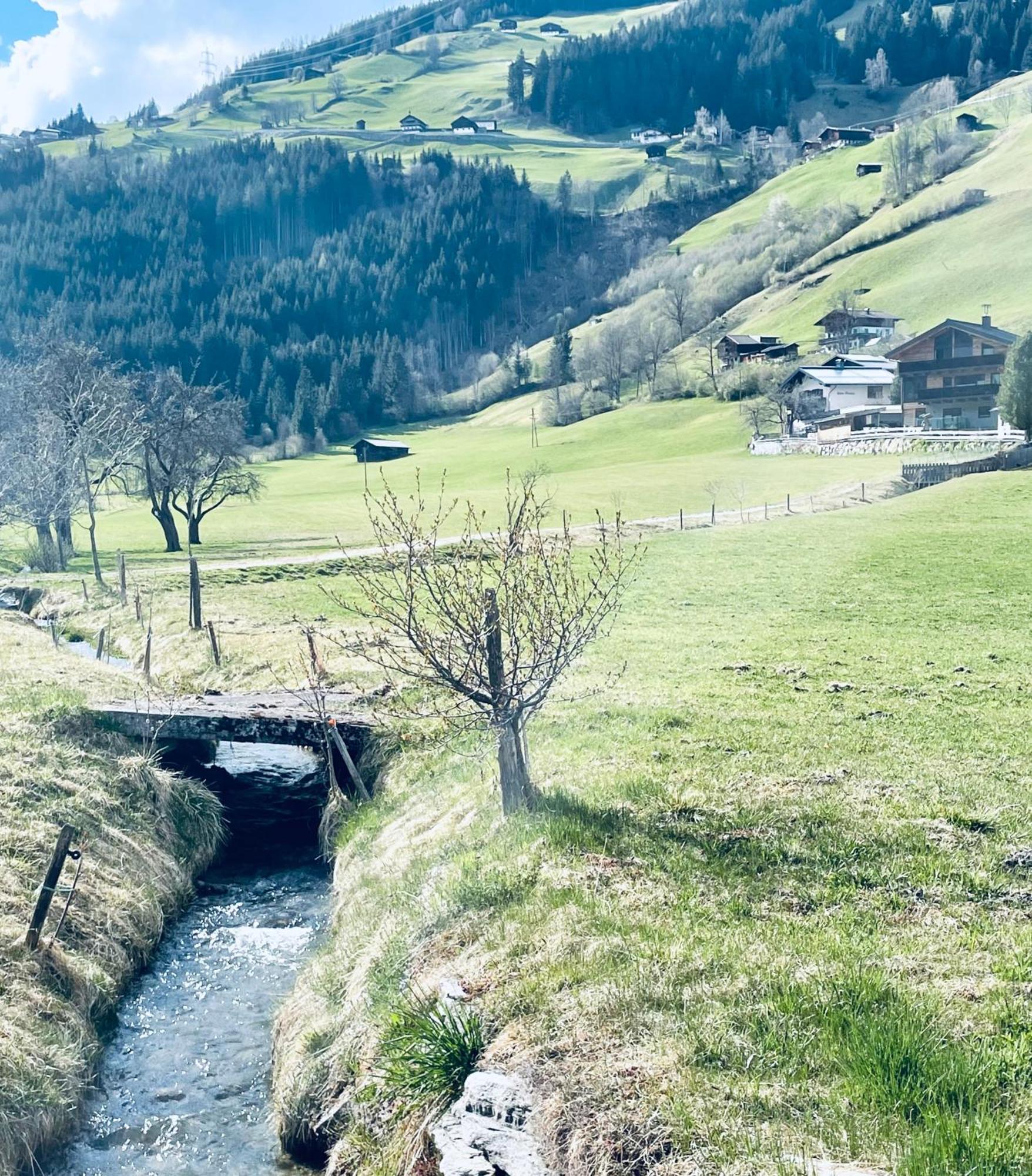 Weitblick Appartement *