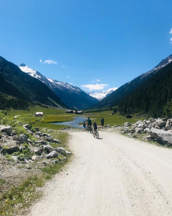 Weitblick Wald im Pinzgau