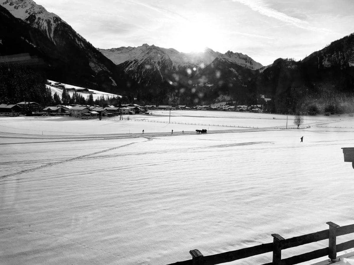 Weitblick * Wald im Pinzgau