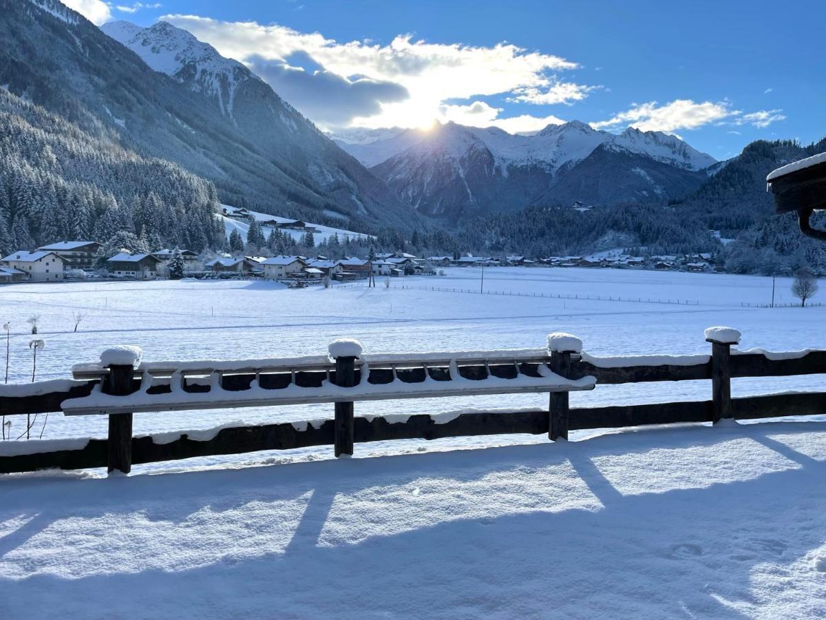 Weitblick Wald im Pinzgau